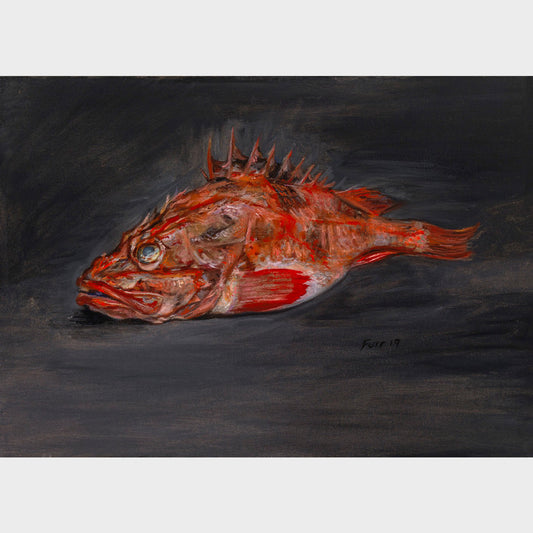 Acadian Red Fish on Dark Grey − 2019