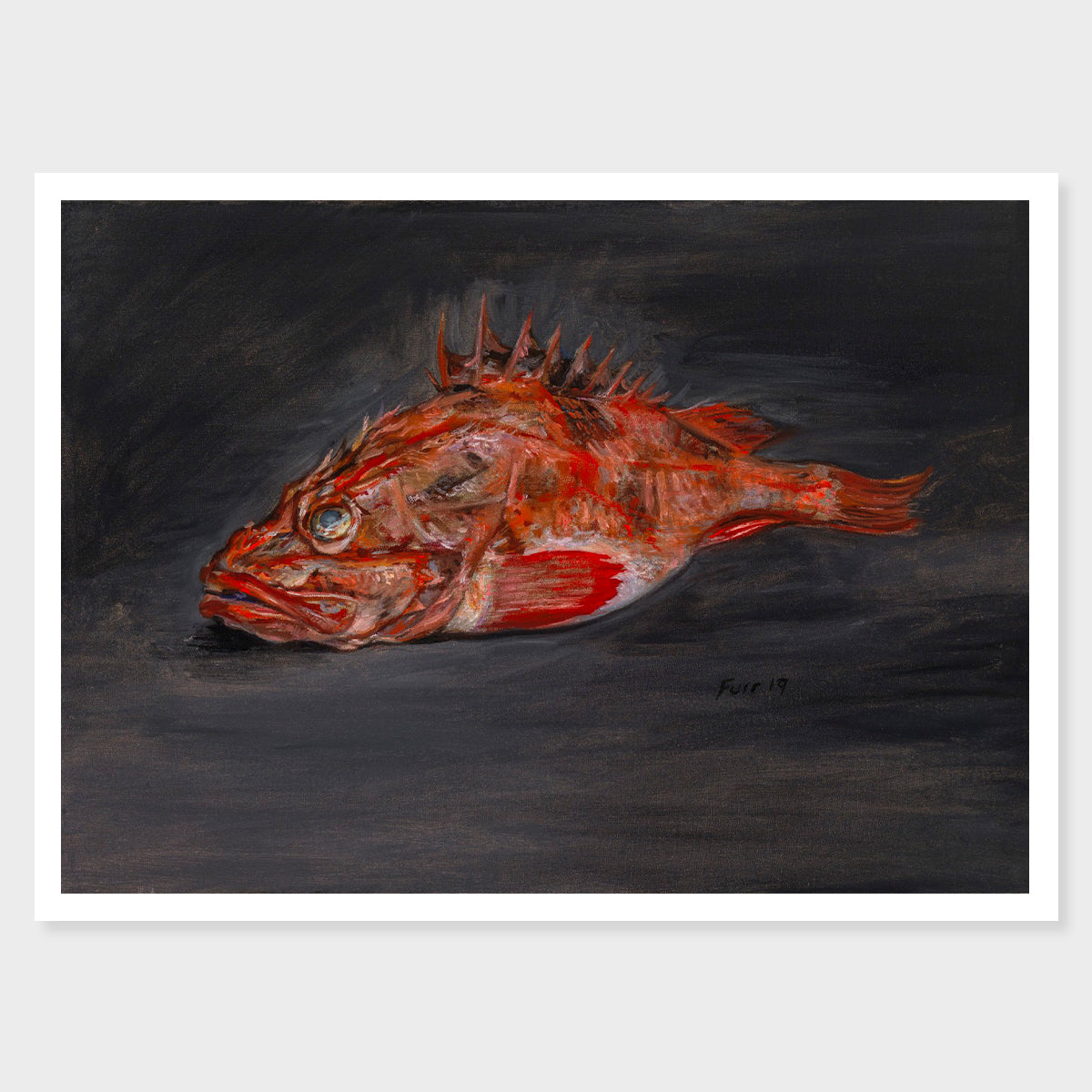 Acadian Red Fish on Dark Grey − 2019